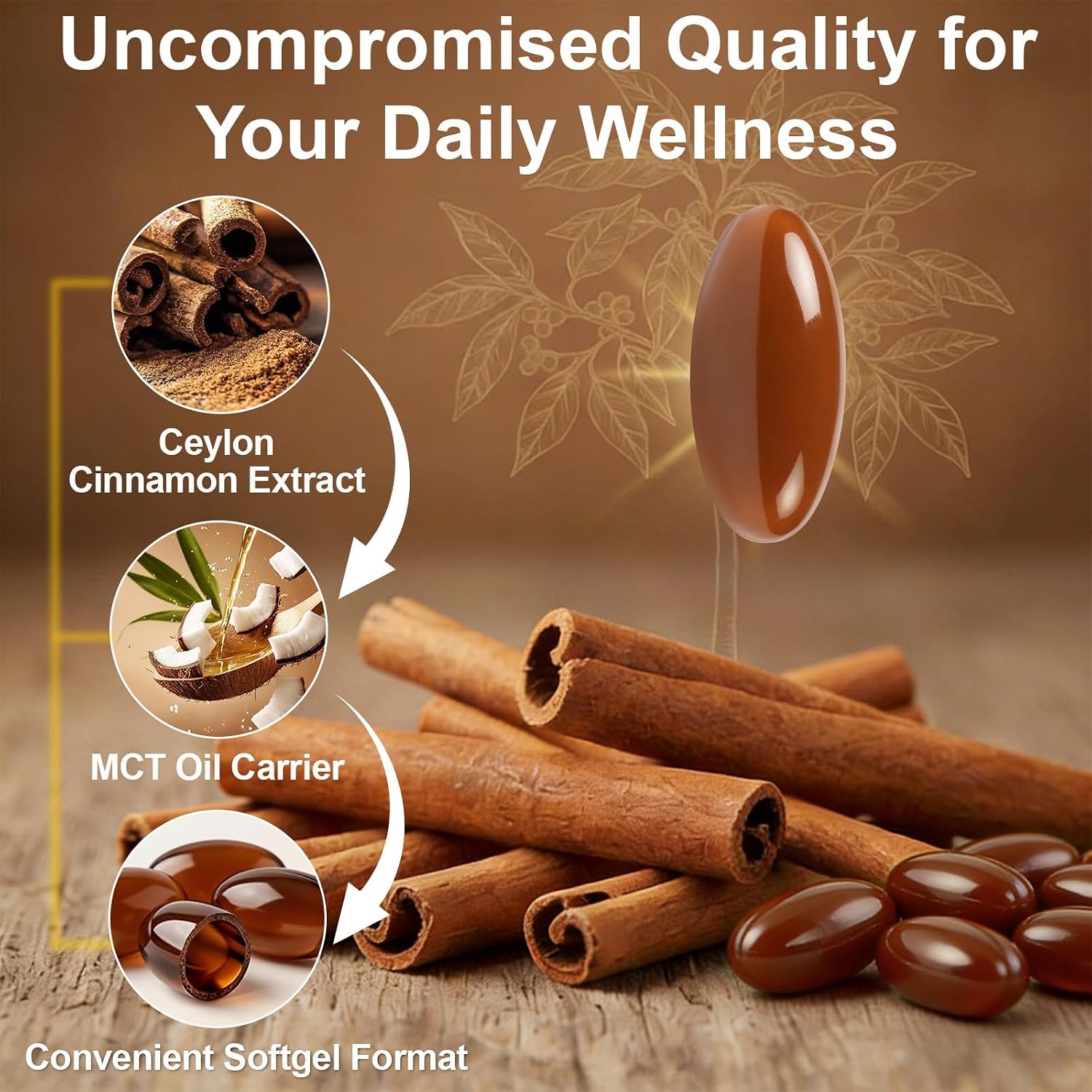 Ceylon Cinnamon Softgels with MCT Oil, 300 Softgels Cinnamomum Verum Bark Extract Capsules True Ceylon Cinnamon Supplement, Supports Digestive & Overall Wellness Gluten-Free
