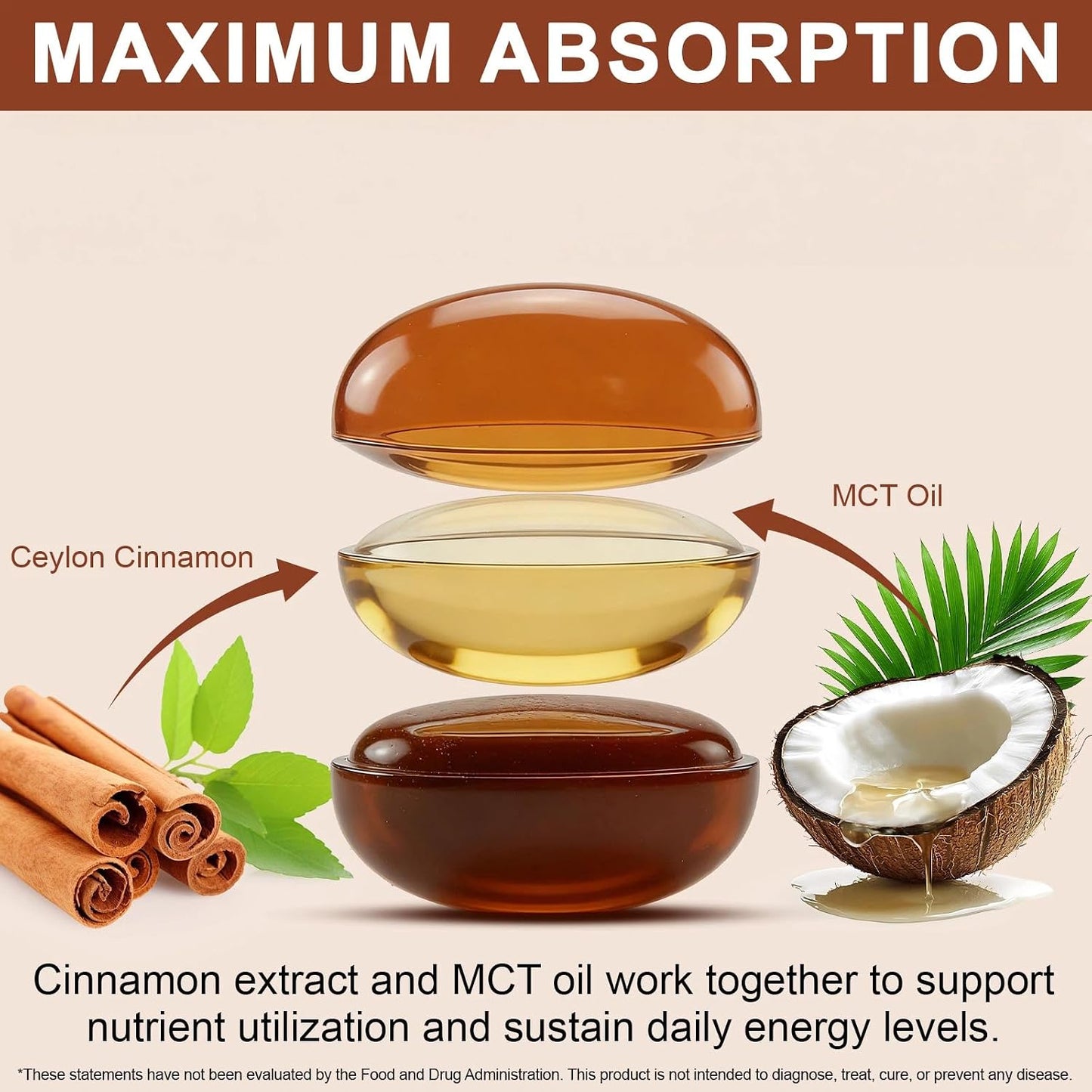 Ceylon Cinnamon Softgels with MCT Oil, 300 Softgels Cinnamomum Verum Bark Extract Capsules True Ceylon Cinnamon Supplement, Supports Digestive & Overall Wellness Gluten-Free