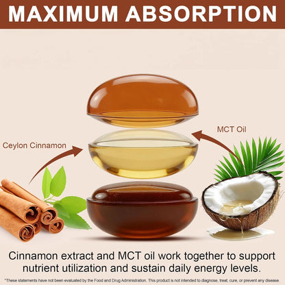 Ceylon Cinnamon Softgels with MCT Oil, 300 Softgels Cinnamomum Verum Bark Extract Capsules True Ceylon Cinnamon Supplement, Supports Digestive & Overall Wellness Gluten-Free